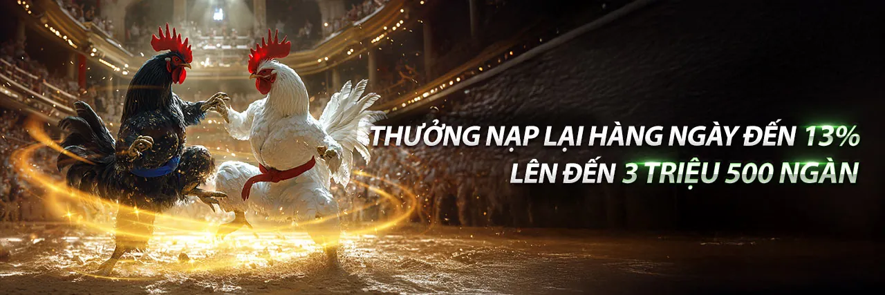 Đá gà trực tuyến kịch tính tại mm88l